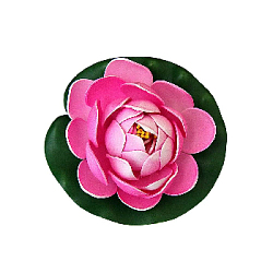 Лилия плавающая 10х10 см розовый