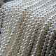 photo-2982561